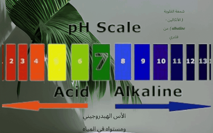 شمعة القلوية ( الألكالين - alkaline ) 5 الأس الهيدروجيني ومستواه في المياه القلوية