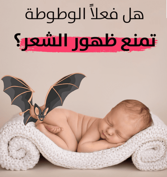 هل دم الوطواط يمنع ظهور الشعر